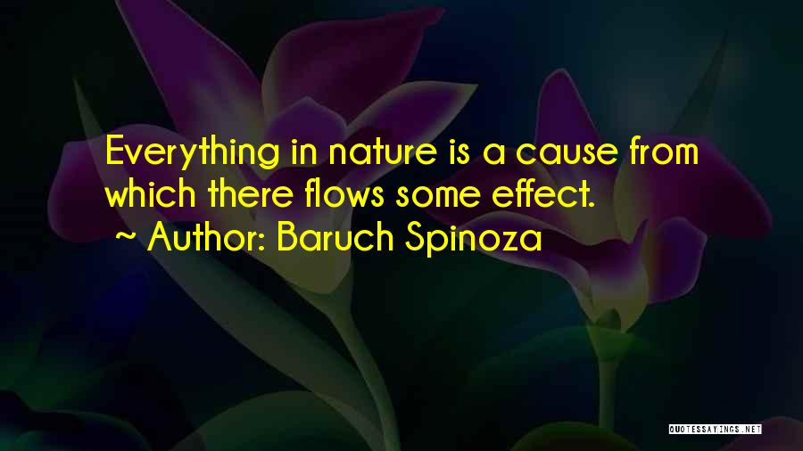 Baruch Spinoza Quotes: Everything In Nature Is A Cause From Which There Flows Some Effect.