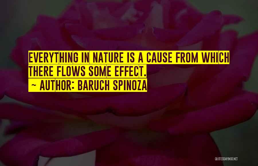 Baruch Spinoza Quotes: Everything In Nature Is A Cause From Which There Flows Some Effect.