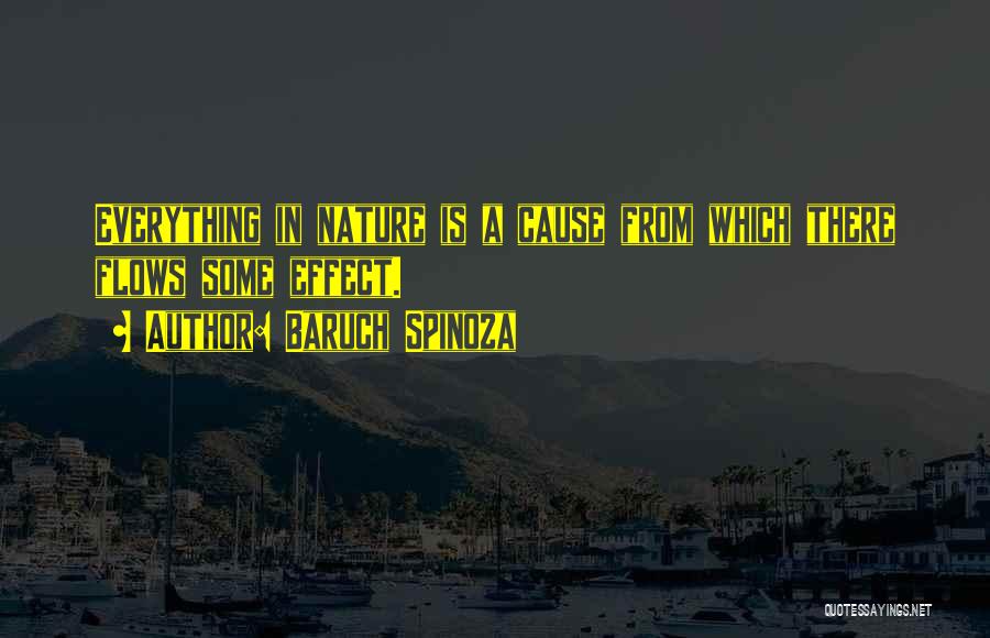 Baruch Spinoza Quotes: Everything In Nature Is A Cause From Which There Flows Some Effect.