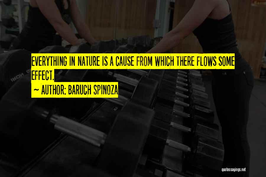 Baruch Spinoza Quotes: Everything In Nature Is A Cause From Which There Flows Some Effect.