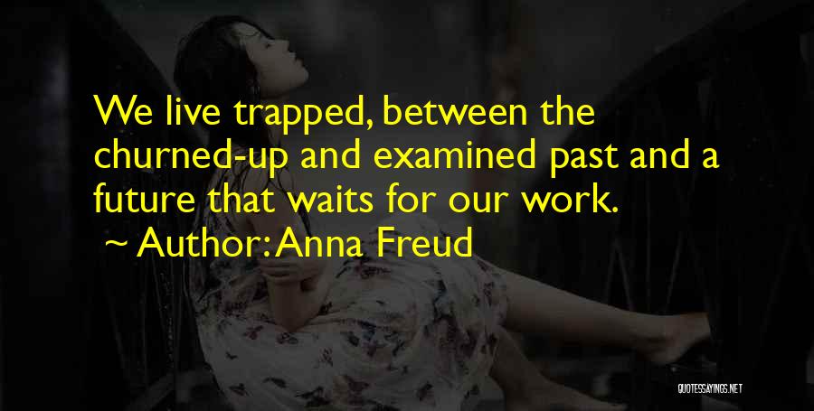 Anna Freud Quotes: We Live Trapped, Between The Churned-up And Examined Past And A Future That Waits For Our Work.