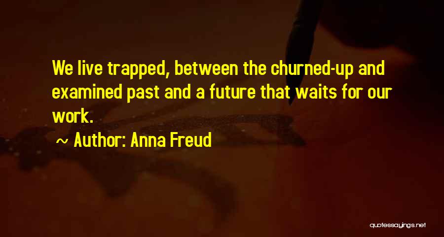 Anna Freud Quotes: We Live Trapped, Between The Churned-up And Examined Past And A Future That Waits For Our Work.