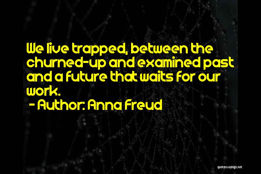 Anna Freud Quotes: We Live Trapped, Between The Churned-up And Examined Past And A Future That Waits For Our Work.