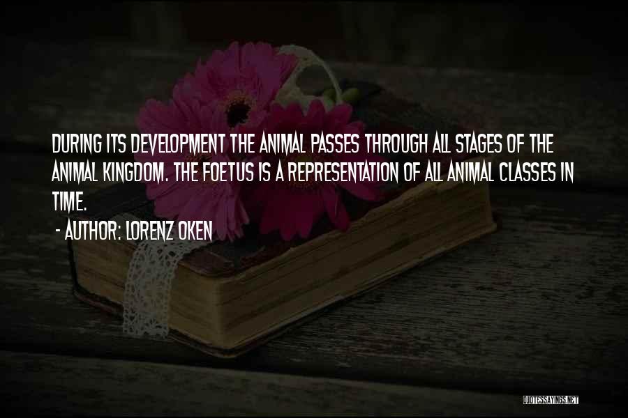 Lorenz Oken Quotes: During Its Development The Animal Passes Through All Stages Of The Animal Kingdom. The Foetus Is A Representation Of All
