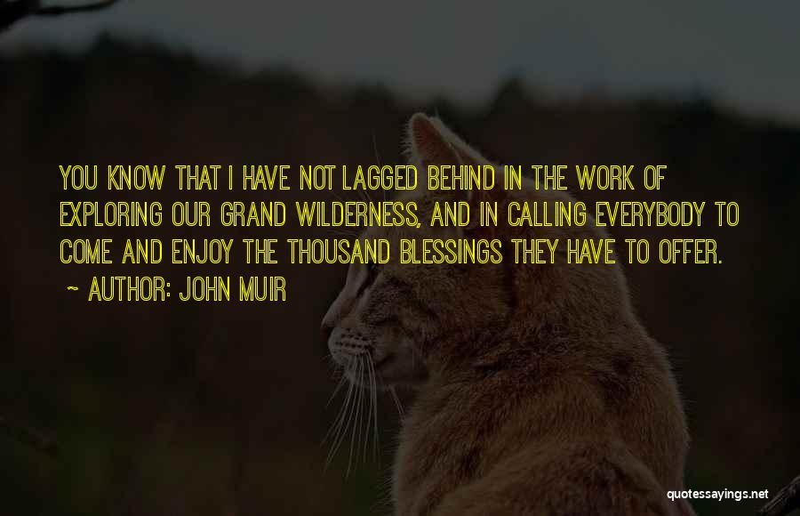 John Muir Quotes: You Know That I Have Not Lagged Behind In The Work Of Exploring Our Grand Wilderness, And In Calling Everybody