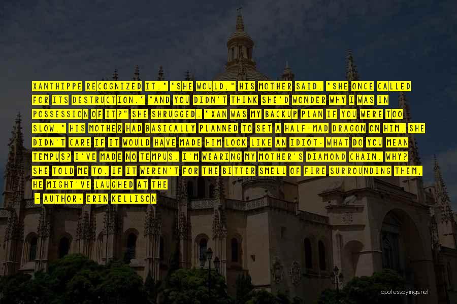 Erin Kellison Quotes: Xanthippe Recognized It. She Would, His Mother Said. She Once Called For Its Destruction. And You Didn't Think She'd Wonder