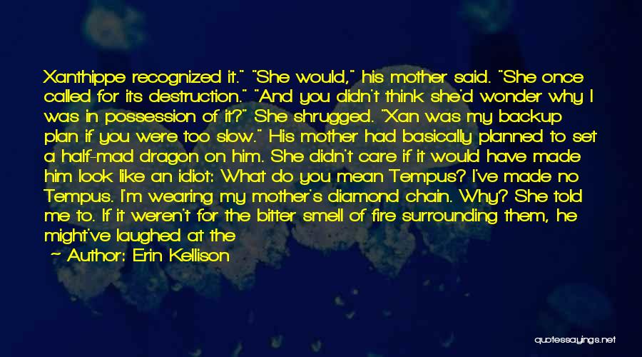 Erin Kellison Quotes: Xanthippe Recognized It. She Would, His Mother Said. She Once Called For Its Destruction. And You Didn't Think She'd Wonder