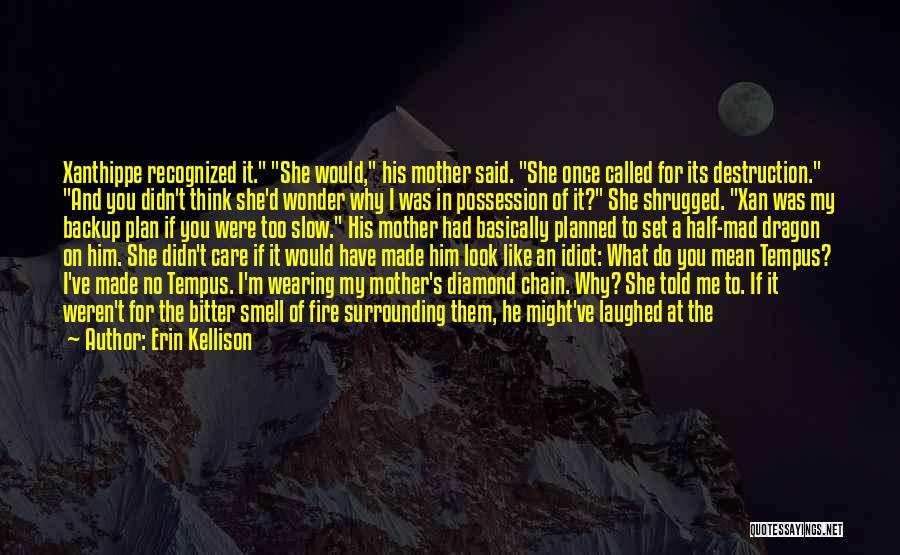 Erin Kellison Quotes: Xanthippe Recognized It. She Would, His Mother Said. She Once Called For Its Destruction. And You Didn't Think She'd Wonder