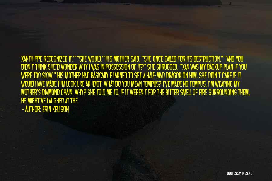Erin Kellison Quotes: Xanthippe Recognized It. She Would, His Mother Said. She Once Called For Its Destruction. And You Didn't Think She'd Wonder