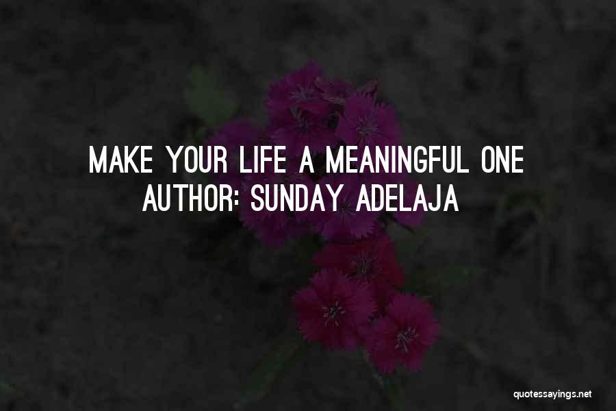 Sunday Adelaja Quotes: Make Your Life A Meaningful One