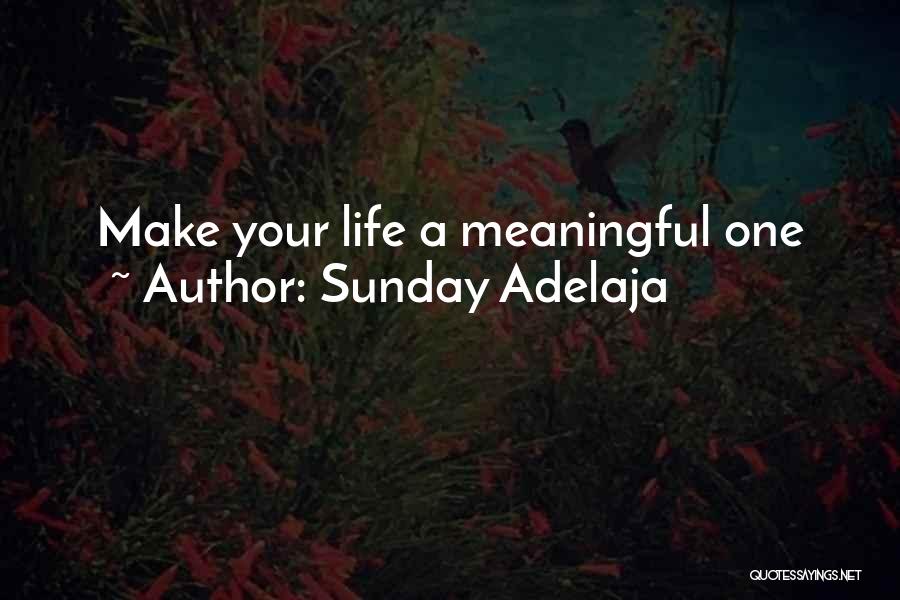 Sunday Adelaja Quotes: Make Your Life A Meaningful One