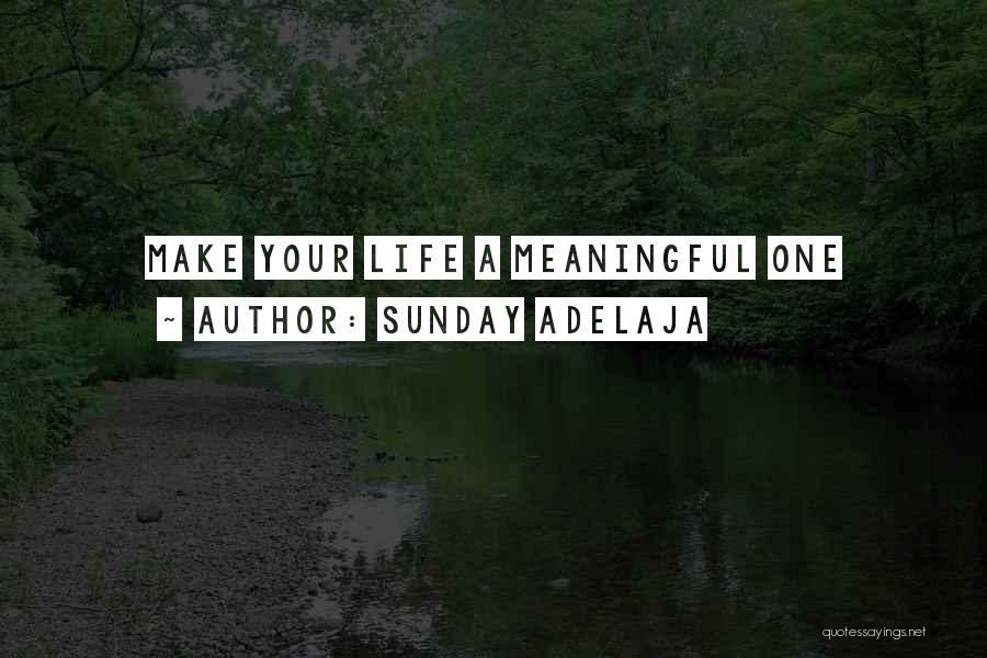 Sunday Adelaja Quotes: Make Your Life A Meaningful One