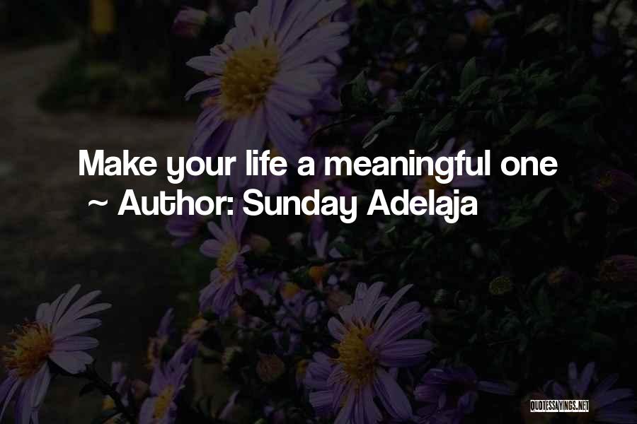 Sunday Adelaja Quotes: Make Your Life A Meaningful One