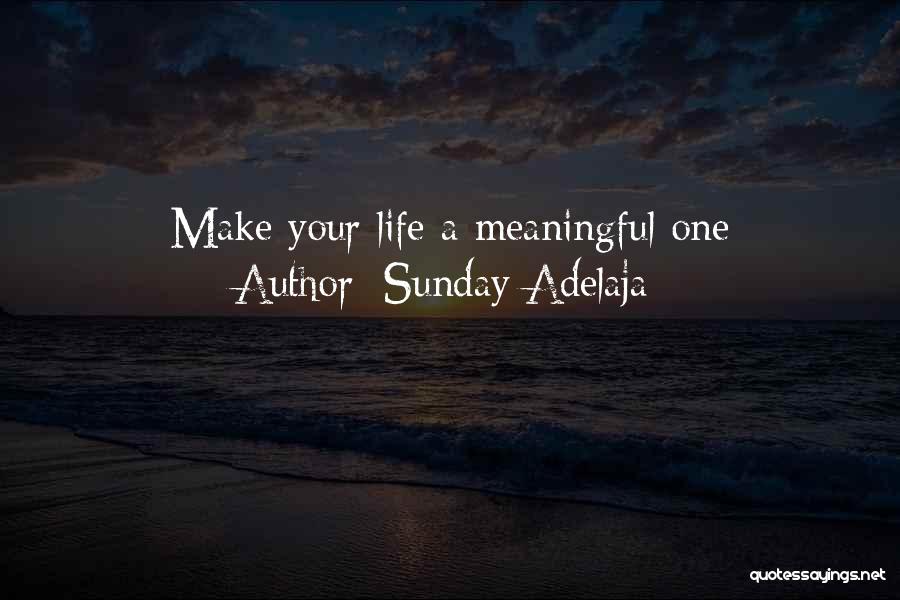 Sunday Adelaja Quotes: Make Your Life A Meaningful One