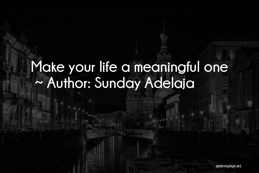 Sunday Adelaja Quotes: Make Your Life A Meaningful One