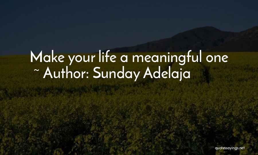 Sunday Adelaja Quotes: Make Your Life A Meaningful One