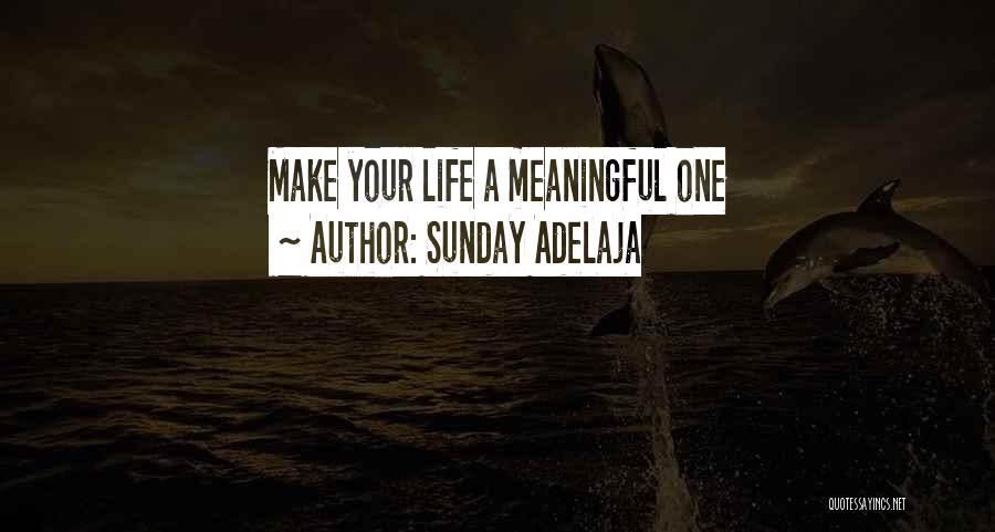 Sunday Adelaja Quotes: Make Your Life A Meaningful One