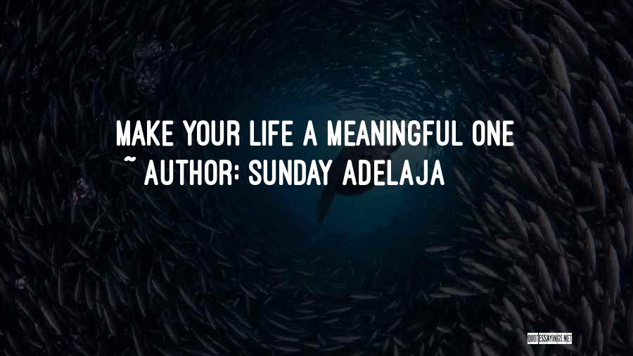 Sunday Adelaja Quotes: Make Your Life A Meaningful One