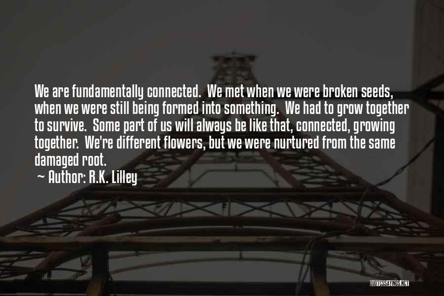 R.K. Lilley Quotes: We Are Fundamentally Connected. We Met When We Were Broken Seeds, When We Were Still Being Formed Into Something. We