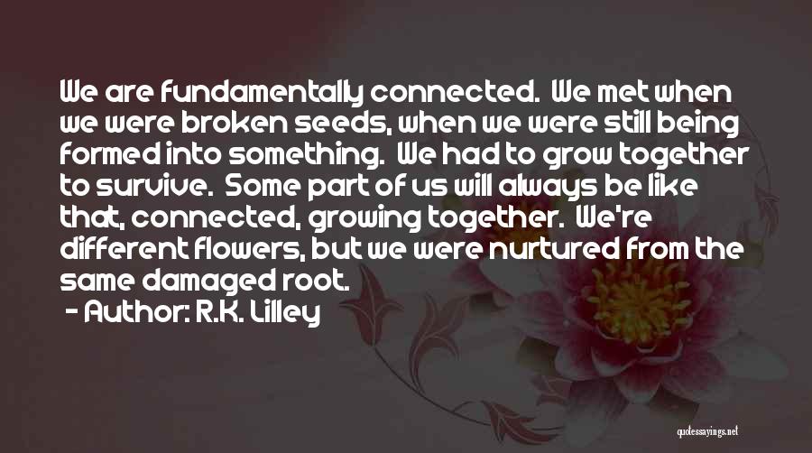 R.K. Lilley Quotes: We Are Fundamentally Connected. We Met When We Were Broken Seeds, When We Were Still Being Formed Into Something. We