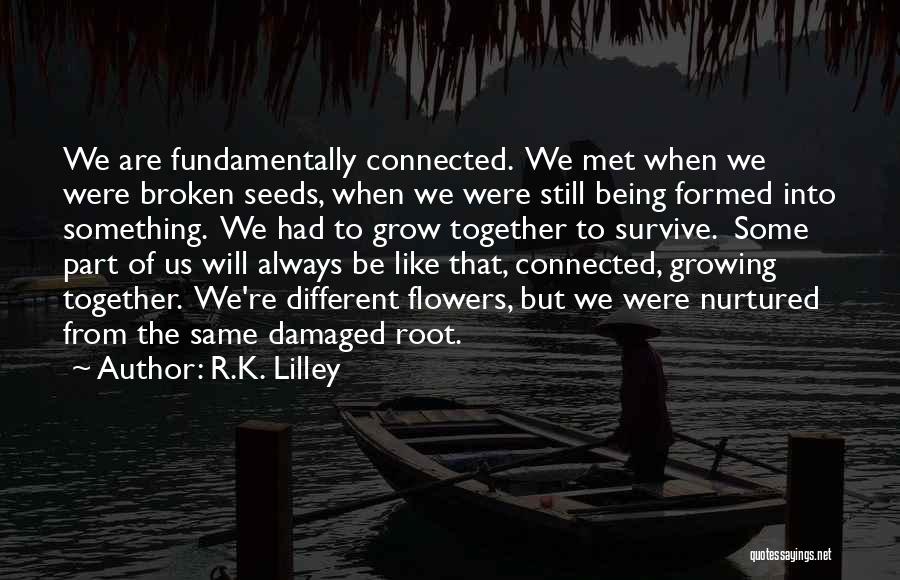 R.K. Lilley Quotes: We Are Fundamentally Connected. We Met When We Were Broken Seeds, When We Were Still Being Formed Into Something. We