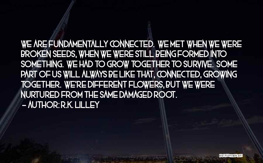 R.K. Lilley Quotes: We Are Fundamentally Connected. We Met When We Were Broken Seeds, When We Were Still Being Formed Into Something. We