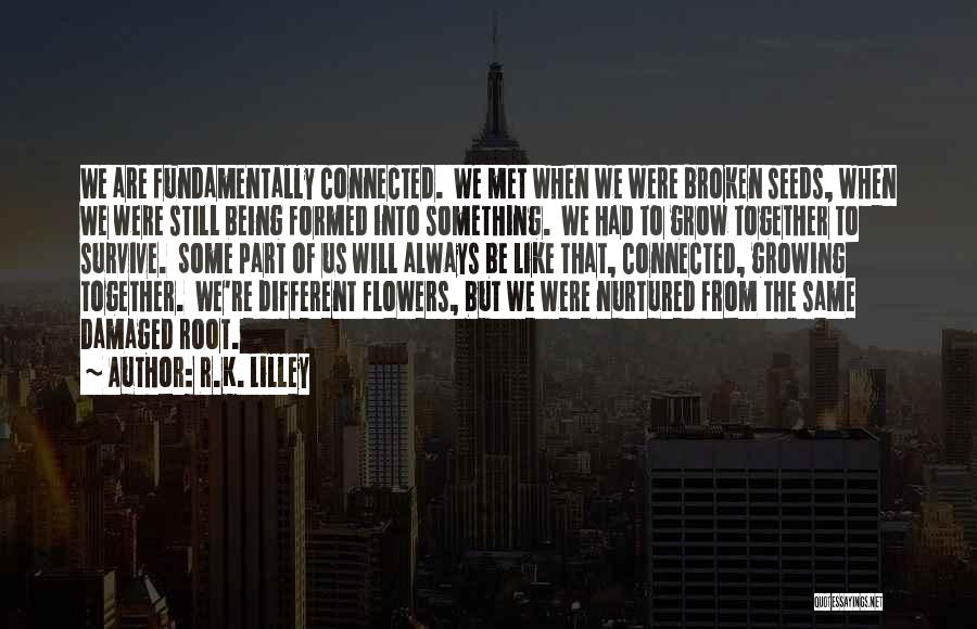 R.K. Lilley Quotes: We Are Fundamentally Connected. We Met When We Were Broken Seeds, When We Were Still Being Formed Into Something. We