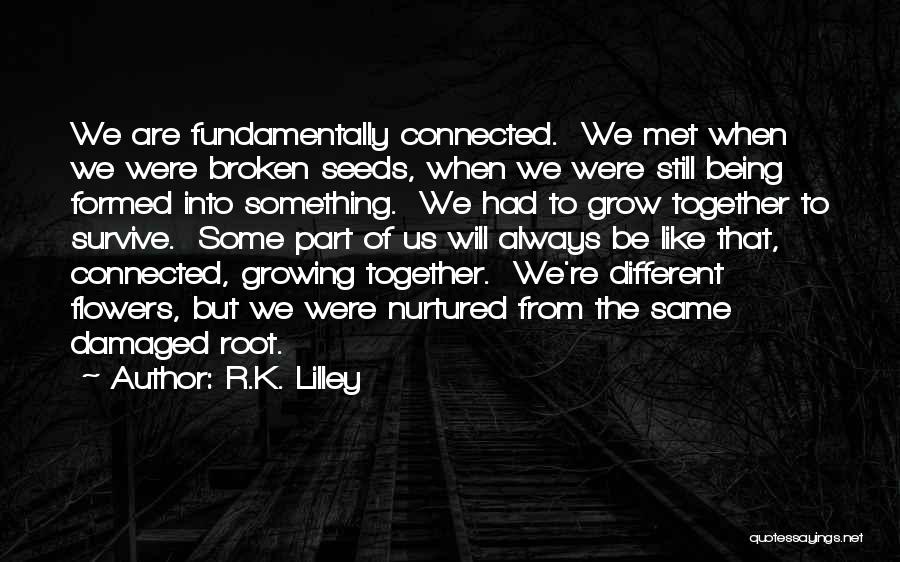 R.K. Lilley Quotes: We Are Fundamentally Connected. We Met When We Were Broken Seeds, When We Were Still Being Formed Into Something. We