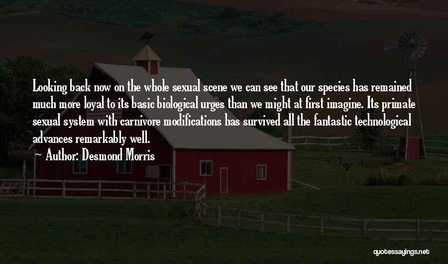 Desmond Morris Quotes: Looking Back Now On The Whole Sexual Scene We Can See That Our Species Has Remained Much More Loyal To