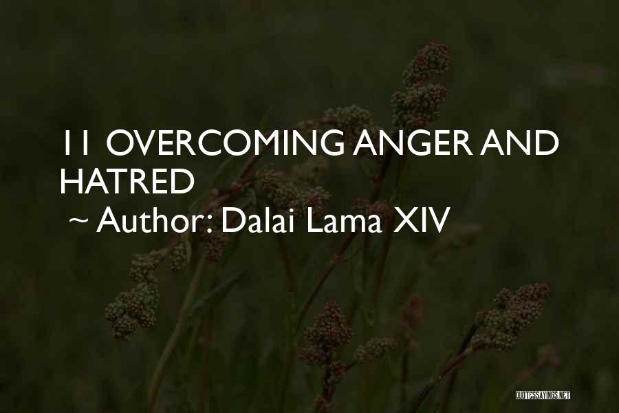 Dalai Lama XIV Quotes: 11 Overcoming Anger And Hatred
