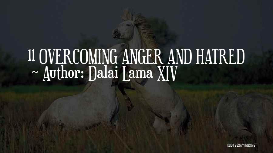 Dalai Lama XIV Quotes: 11 Overcoming Anger And Hatred