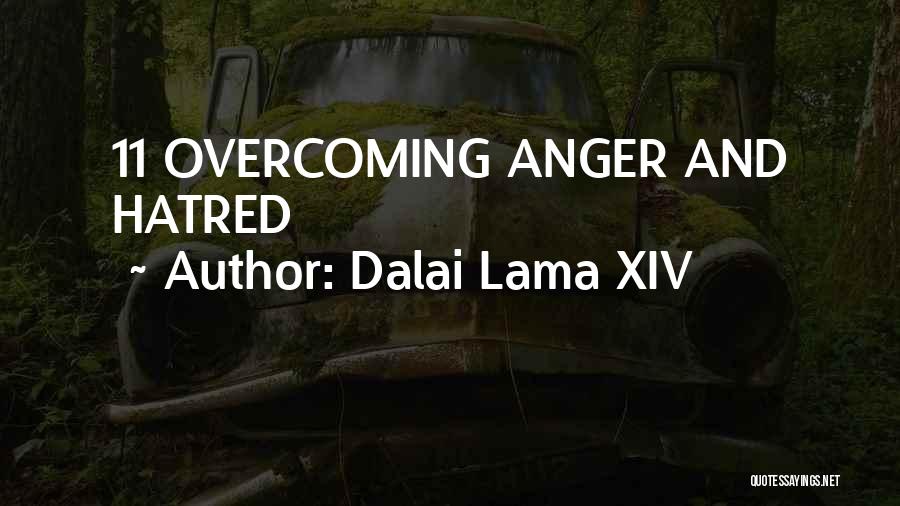 Dalai Lama XIV Quotes: 11 Overcoming Anger And Hatred