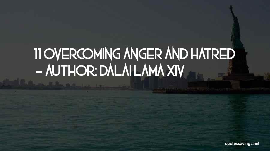 Dalai Lama XIV Quotes: 11 Overcoming Anger And Hatred