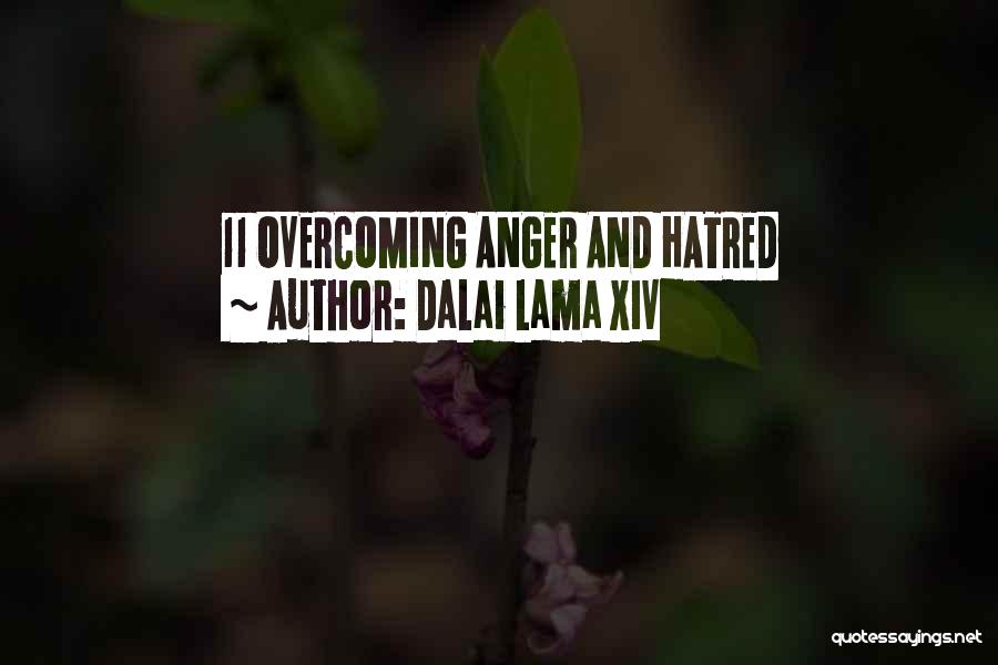 Dalai Lama XIV Quotes: 11 Overcoming Anger And Hatred