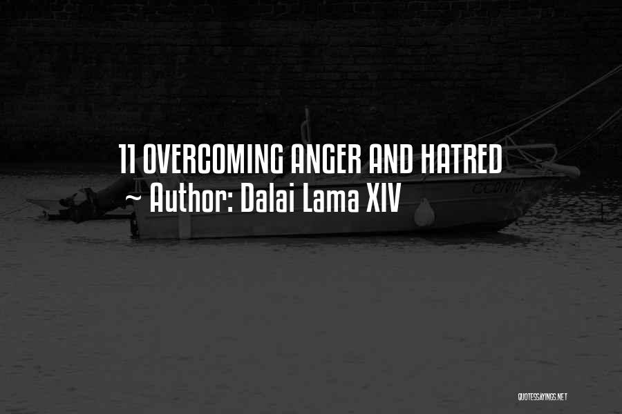 Dalai Lama XIV Quotes: 11 Overcoming Anger And Hatred