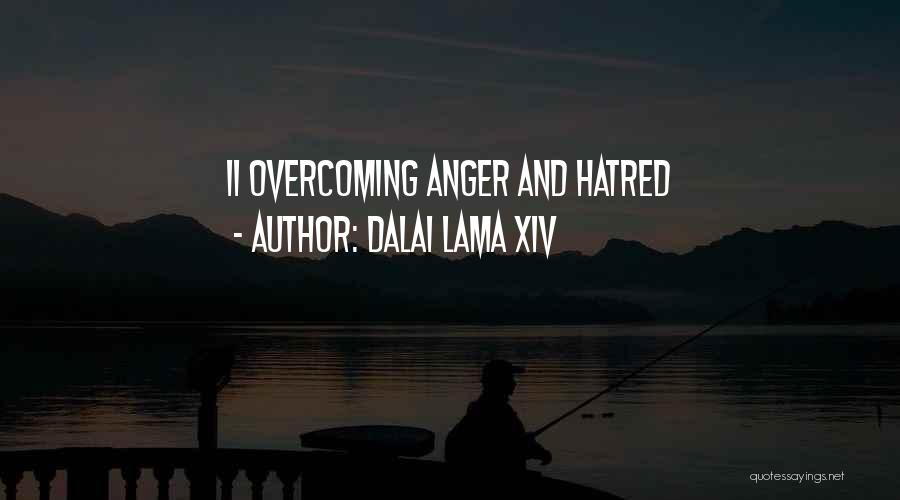 Dalai Lama XIV Quotes: 11 Overcoming Anger And Hatred