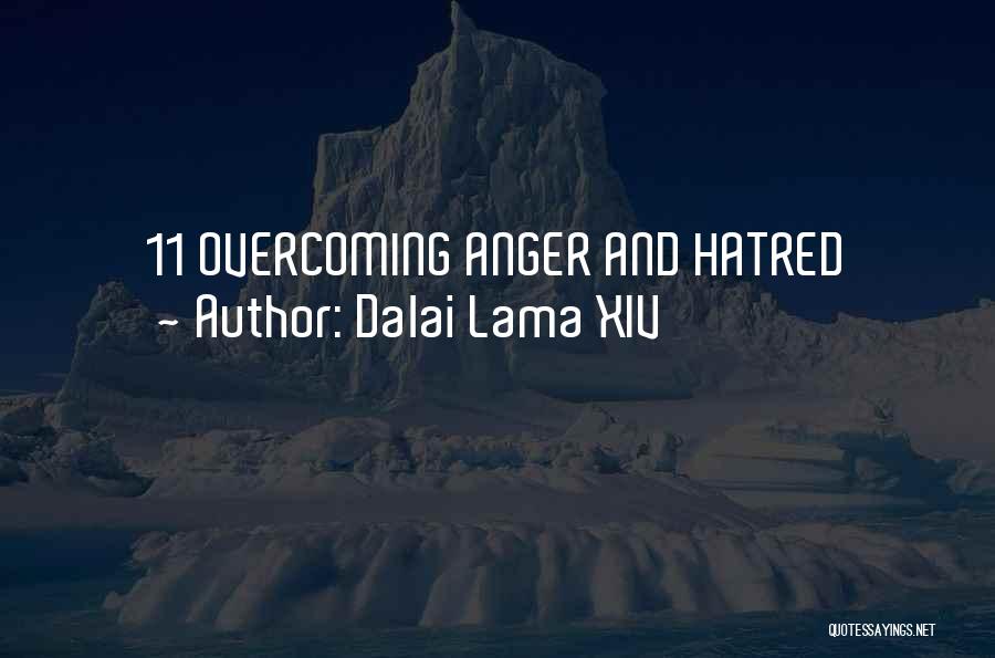 Dalai Lama XIV Quotes: 11 Overcoming Anger And Hatred