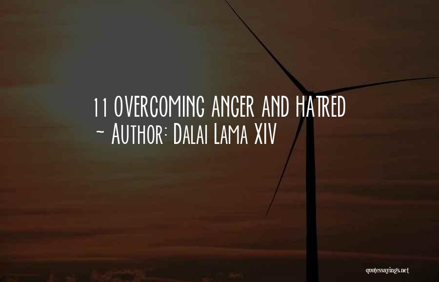 Dalai Lama XIV Quotes: 11 Overcoming Anger And Hatred
