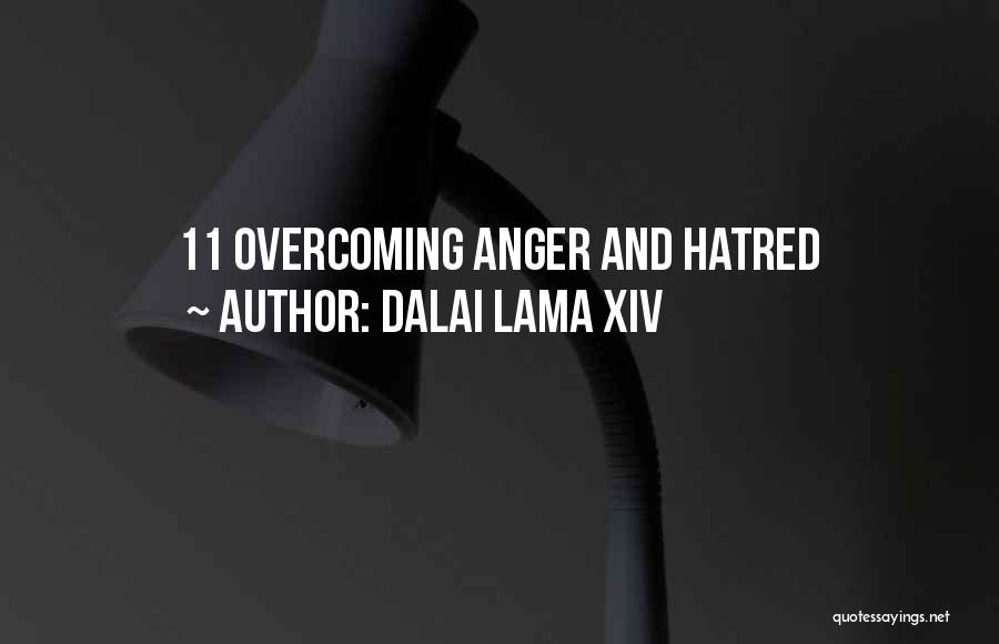 Dalai Lama XIV Quotes: 11 Overcoming Anger And Hatred
