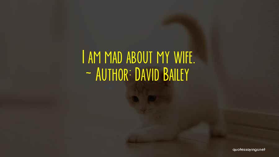 David Bailey Quotes: I Am Mad About My Wife.