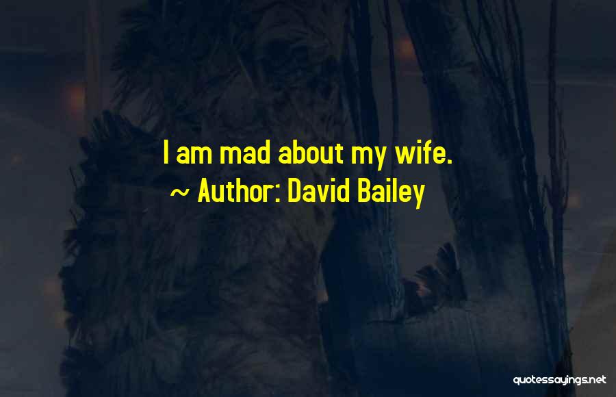 David Bailey Quotes: I Am Mad About My Wife.