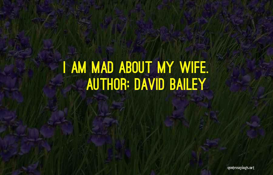 David Bailey Quotes: I Am Mad About My Wife.