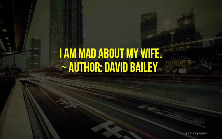 David Bailey Quotes: I Am Mad About My Wife.