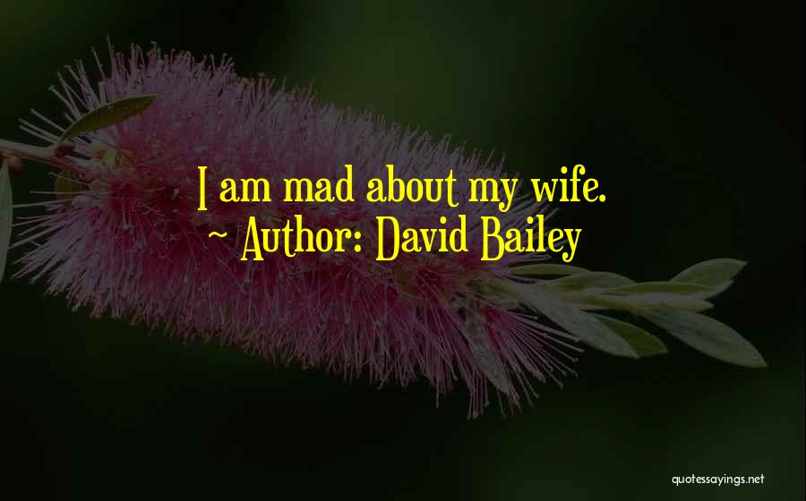 David Bailey Quotes: I Am Mad About My Wife.