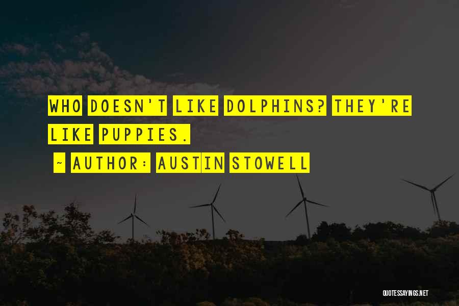 Austin Stowell Quotes: Who Doesn't Like Dolphins? They're Like Puppies.