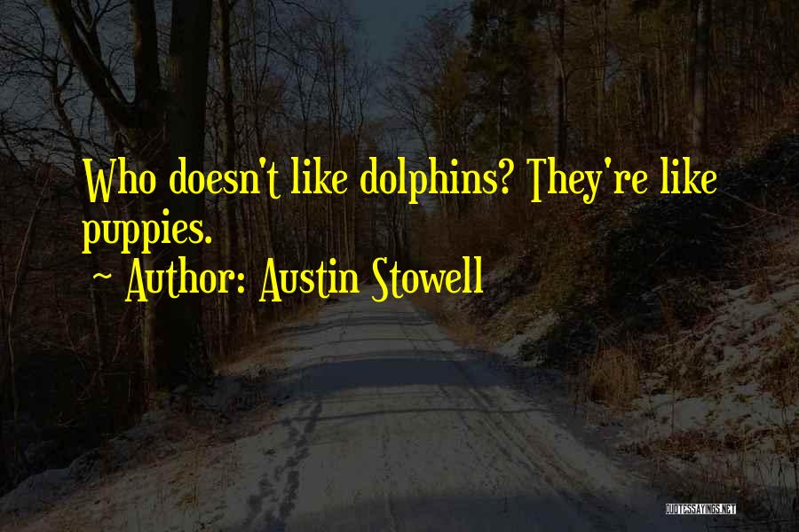 Austin Stowell Quotes: Who Doesn't Like Dolphins? They're Like Puppies.