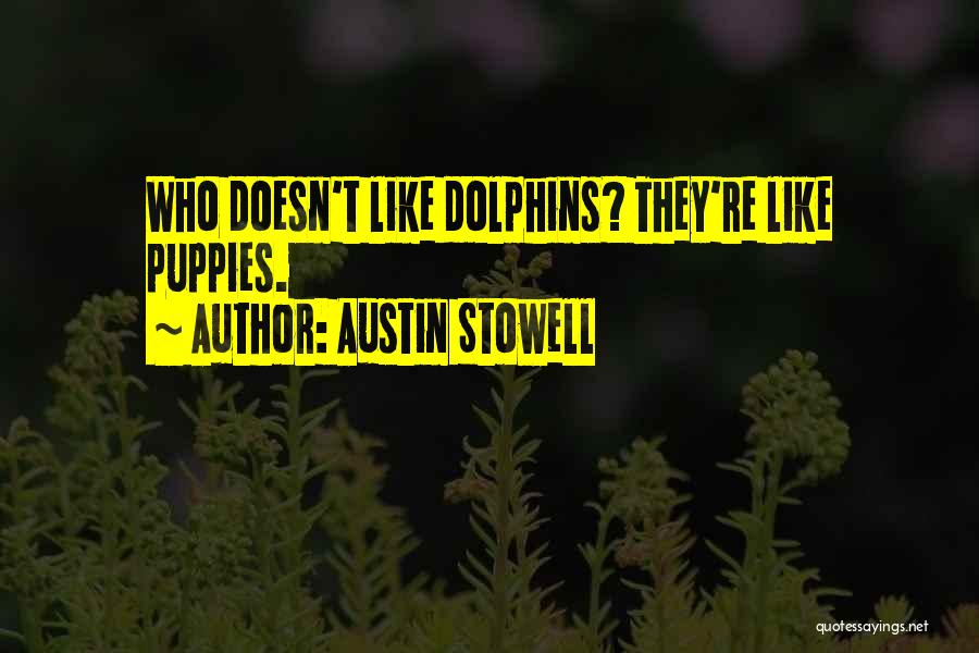 Austin Stowell Quotes: Who Doesn't Like Dolphins? They're Like Puppies.