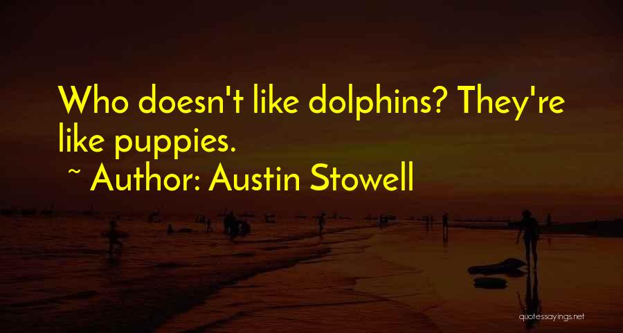 Austin Stowell Quotes: Who Doesn't Like Dolphins? They're Like Puppies.