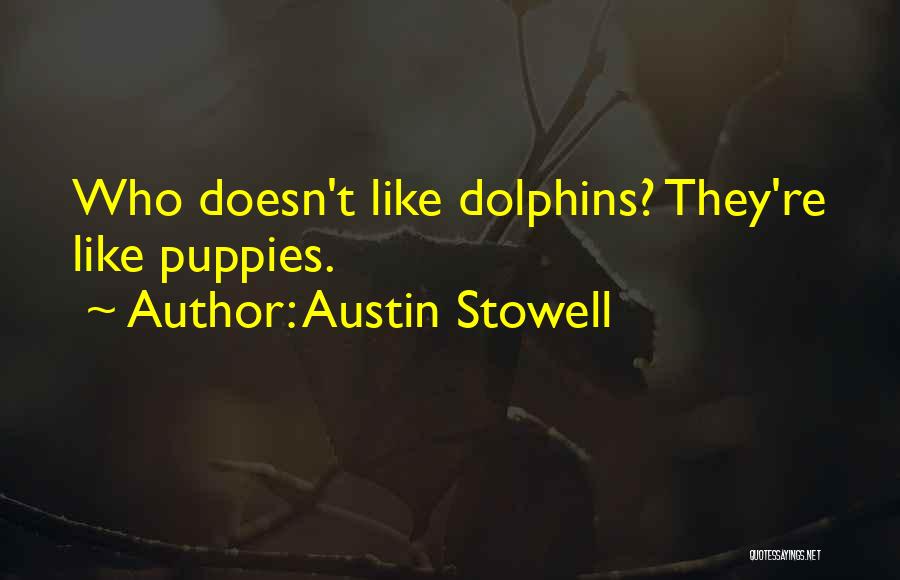 Austin Stowell Quotes: Who Doesn't Like Dolphins? They're Like Puppies.