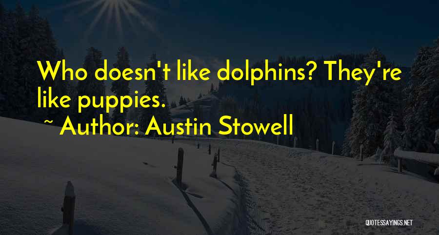 Austin Stowell Quotes: Who Doesn't Like Dolphins? They're Like Puppies.